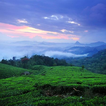 Violet Woods Ξενοδοχείο Munnar Εξωτερικό φωτογραφία